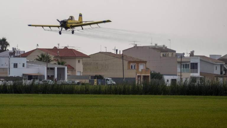 Una avioneta tractant els arrossars contra el mosquit, al delta de l’Ebre. FOTO: JOAN REVILLAS