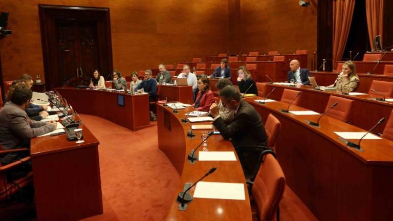 Imagen de la comisión de ayer en el Parlament de Catalunya. Foto: Parlament de Catalunya