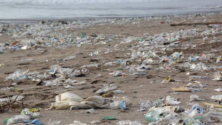 Los plásticos pueden alterar los ecosistemas marinos. Foto: Pixabay