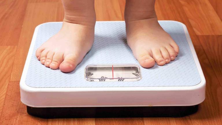 La obesidad infantil puede tener graves problemas. Foto: DT