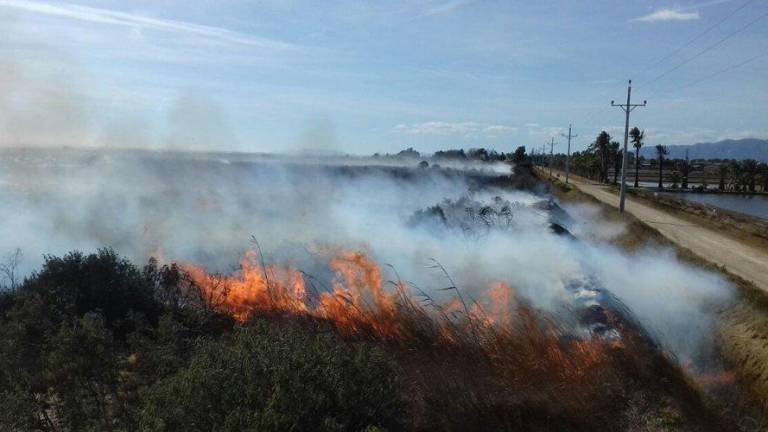 L'incendi de vegetació a Sant Jaume d'Enveja crema 4.000 metres quadrats de matolls