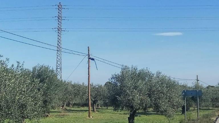 Una de las líneas telefónicas afectadas por el robo de cable situada en Mont-roig. FOTO: DT