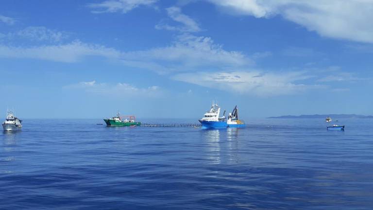 Balfegó pesca 2.410 tones de tonyina roja en sis dies