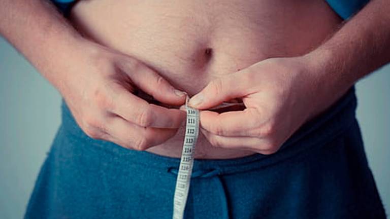 La obesidad es una de las enfermedades más prevalentes y menos diagnosticadas de la historia. Foto: Piqsels