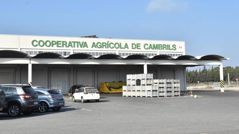 Las actuales instalaciones de la Cooperativa Agrícola se encuentran a la salida de Cambrils, en la carretera de Montbrió. FOTO: ALFREDO GONZÁLEZ