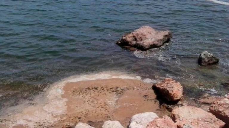 $!Las causas de las manchas aparecidas en la costa del Baix Penedès