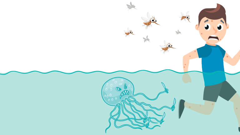 De los mosquitos a las medusas, las molestas picaduras
