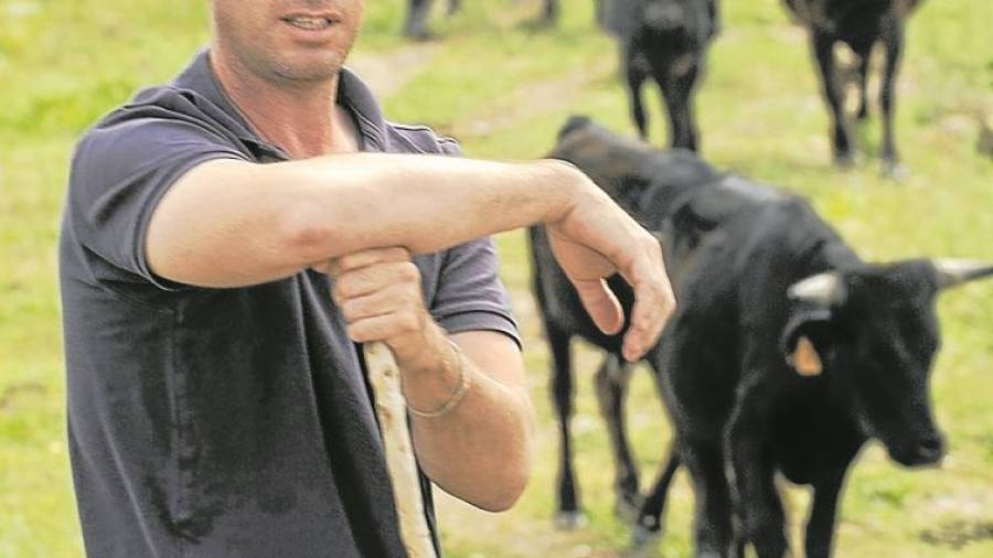 Paco Palmer, a una de les finques de la seua ramaderia al delta de l’Ebre. FOTO: Joan Revillas