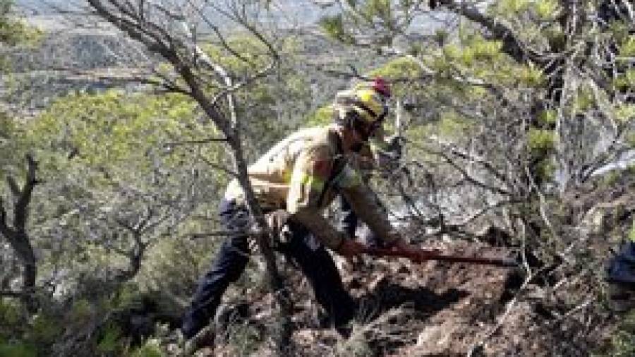 Els Bombers treballant en l'incendi de vegetació forestal a Móra d'Ebre. FOTO: Bombers