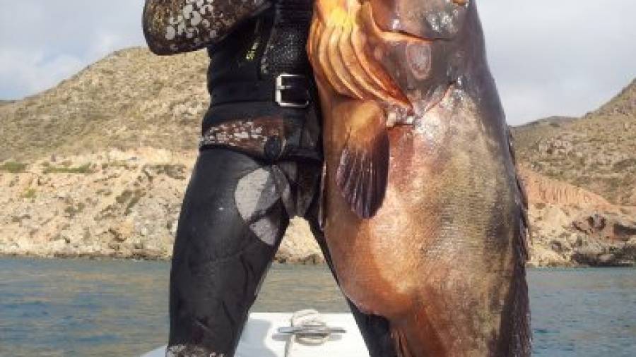 Eloy Martínez sostiene en brazos uno de sus espectaculares capturas practicando la pesca submarina, un mero que superaba los veinte kilos de peso. Foto: cedida