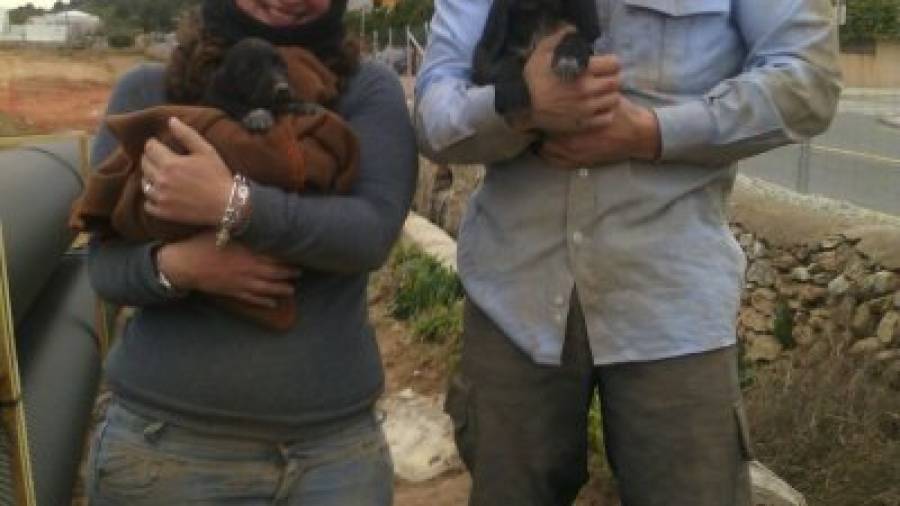 Miembros de Pasos con cachorros rescatados de una alcantarilla en El Vendrell con ayuda de un mosso. Foto: DT
