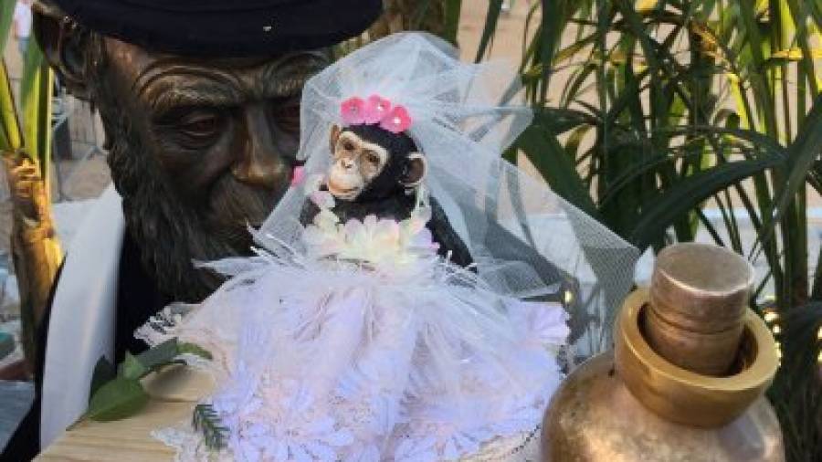 La mona Micaela a la boda amb el mono de l'Anís. FOTO: CEDIDA