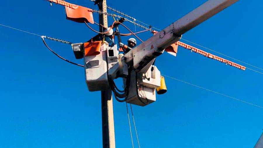 Trabajos para aislar los cables de manera que eviten electrocuciones de aves.
