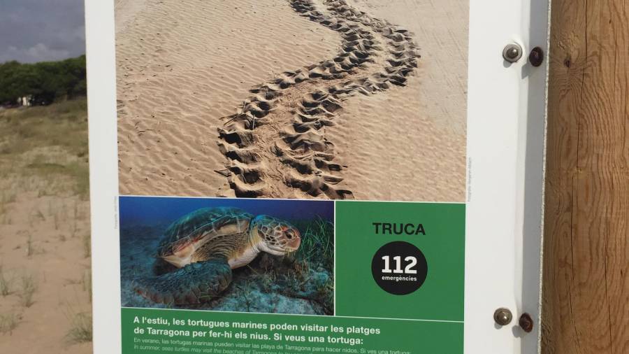Imagen del cartel informativo en caso de avistamiento de tortugas. Foto: Octavi Saumell