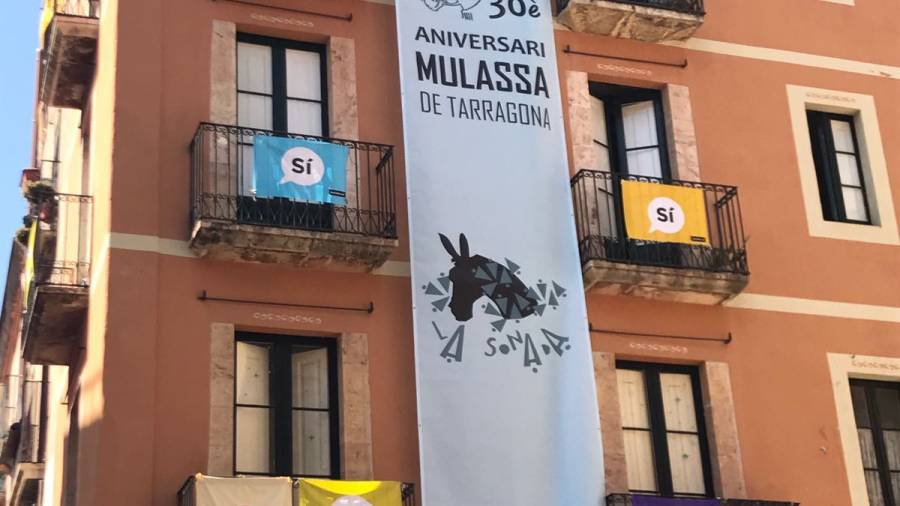 Nueva imagen de la Mulassa por su aniversario. Foto: DT