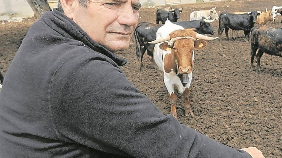 El ramader valencià Fernando Mansilla, a l’explotació que té a Ulldecona. FOTO: Joan Revillas
