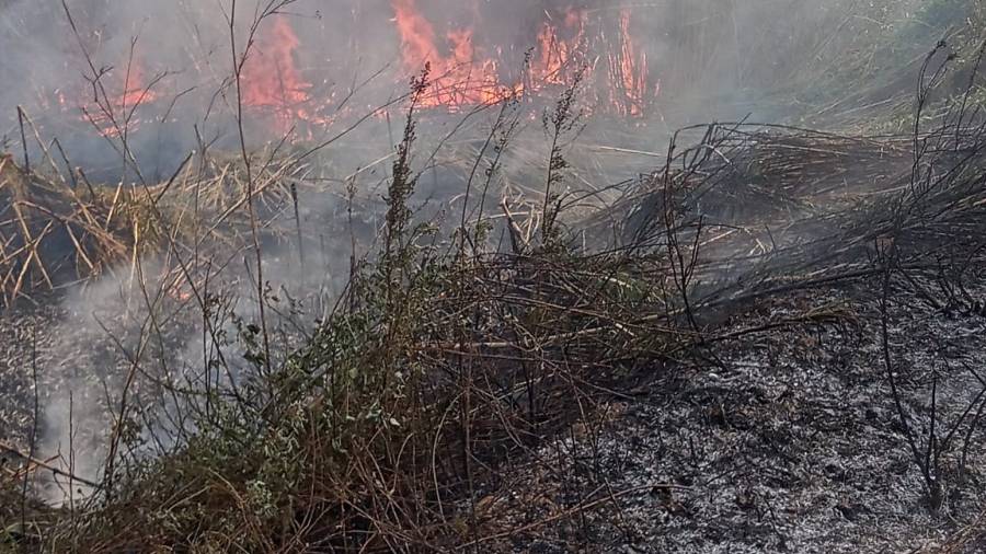 El incendio de matorrales entre Reus y La Canonja. FOTO: CEDIDA&nbsp;