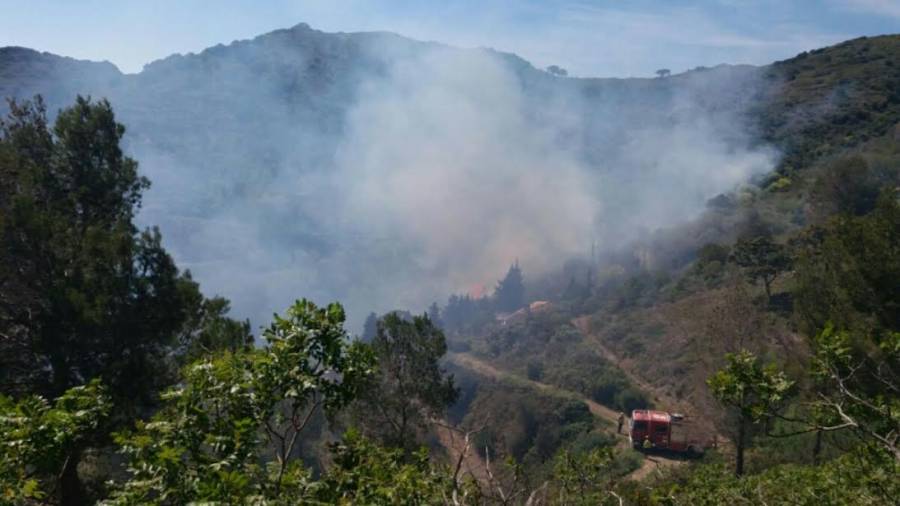Incendi forestal a la Selva del Camp. Foto: Àngel Juanpere