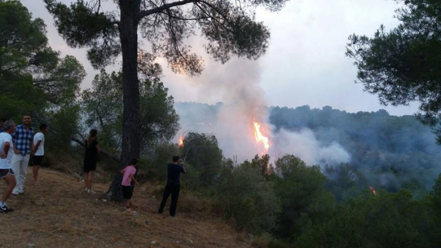 Imatge dels pins en flames. Foto: A.J