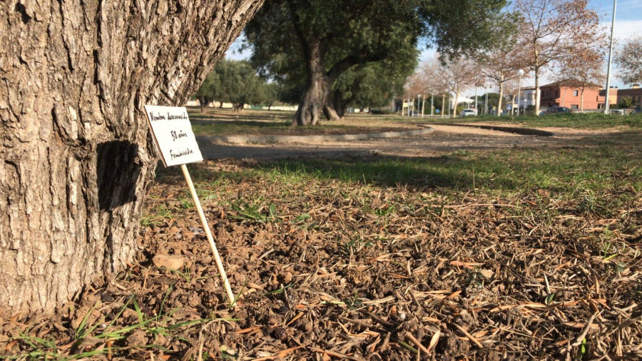 Carteles como este recuerdan a las víctimas por violencia machista en este parque de Cambrils. FOTO: PERE FERRÉ
