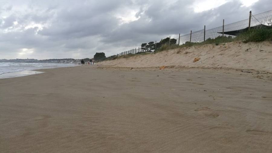 Imagen que evidencia la gran regresión marina que sufre la Playa Larga. Foto: cedida