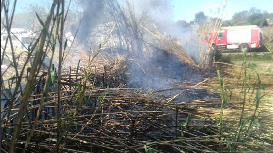 L'incendi a Amposta. FOTO: Bombers de la Generalitat