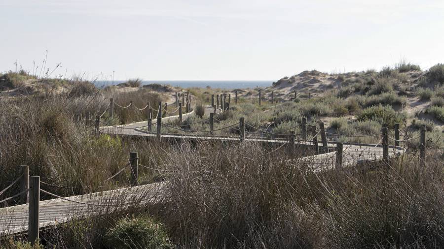 Les dunes s&oacute;n una de les principals caracter&iacute;stiques. foto: Pere ferr&eacute;