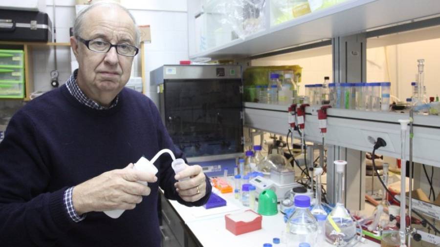 Josep Lluís Domingo, professor de toxicologia de la Facultat de Medecina de la URV. FOTO: LLUÍS MILIÁN