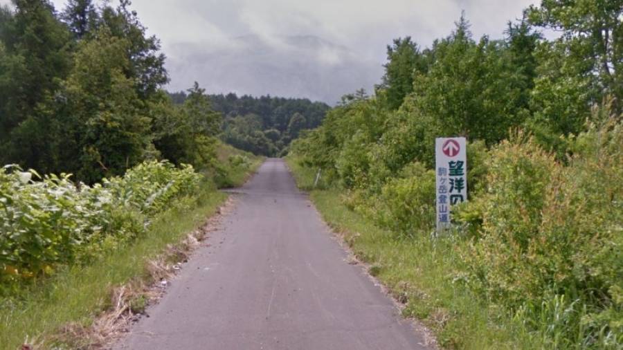 Le dejaron solo en una carretera a los pies del monte Komagatake, en la isla japonesa de Hokkaido (norte). Foto: Google Street View (zona boscosa de la misma isla cercana a los hechos)