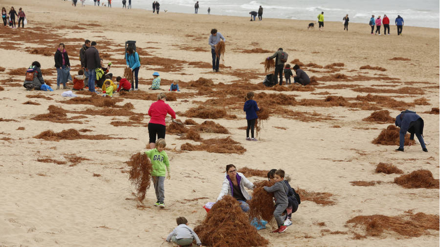 Los niños de la Escola L’Arrabassada participaron en la limpieza de la playa. FOTO: PERE FERRÉ