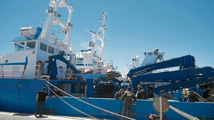 Imatge de la flota del grup tonyinaire Balfegó, al port de l’Ametlla de Mar.