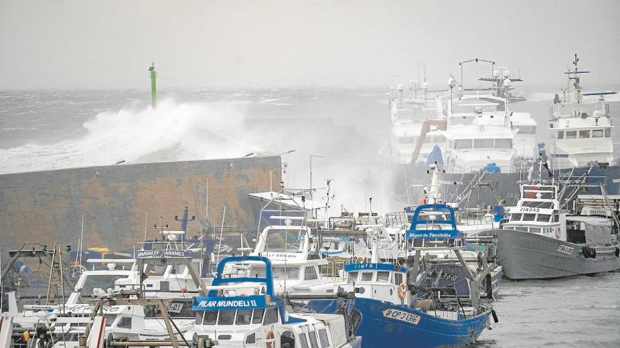 Detall del dic del port de l’Ametlla de Mar durant el temporal Glòria. Foto: J. Revillas