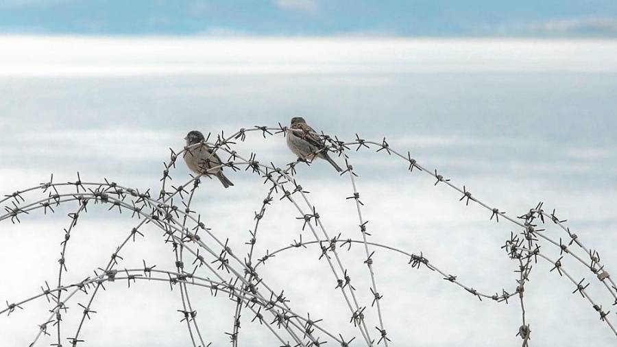 Uno de los muros inmortalizados por Roger Grasas. FOTO: cedida/iev