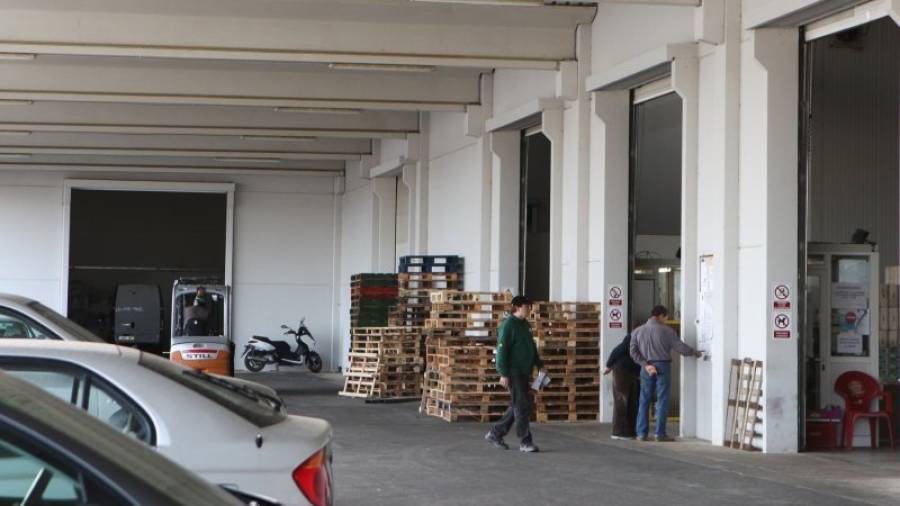 Imagen de las instalaciones de la Cooperativa, en la carretera de Montbrió. Foto: alba mariné