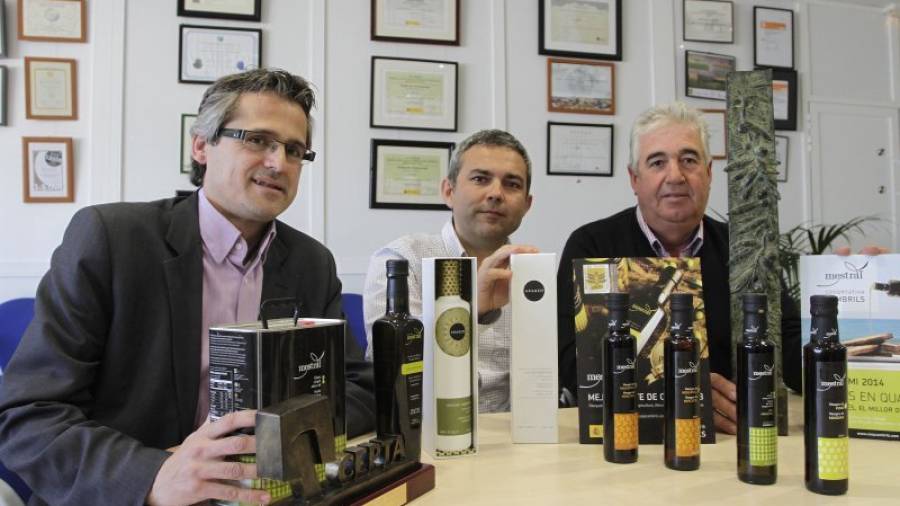 De izquierda a derecha: Xavier Mas, Fernando Sarasa y Jaume Baiges con las diferentes muestras de las botellas de aceite. Foto: Pere Ferré