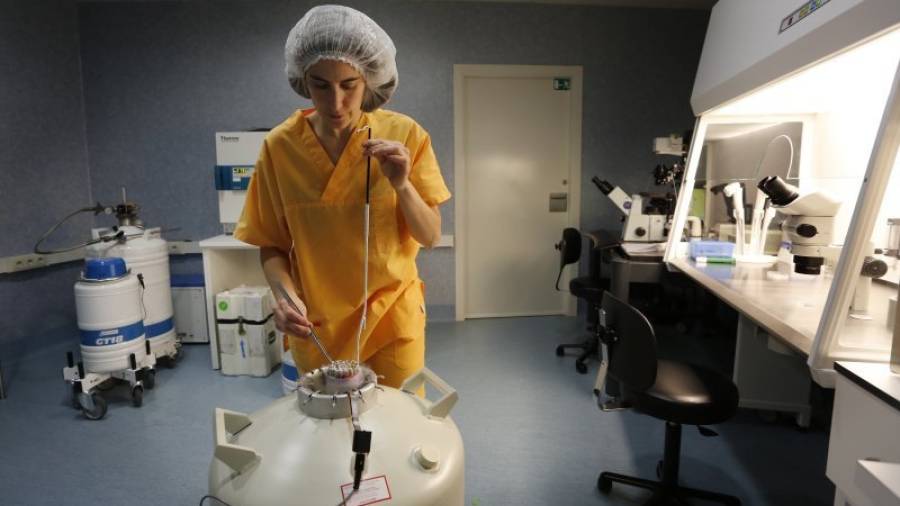 Imma Saumell, directora del laboratorio Embriogyn, en Tarragona, con óvulos congelados. Foto: Pere Ferré