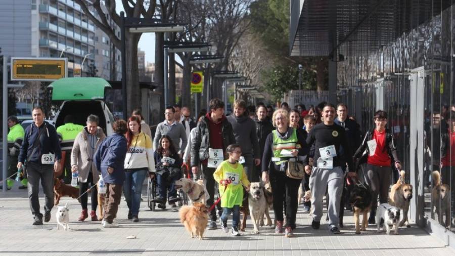 El paseo de mascotas de ayer transcurrió por el centro de la ciudad. Foto: A.Mariné