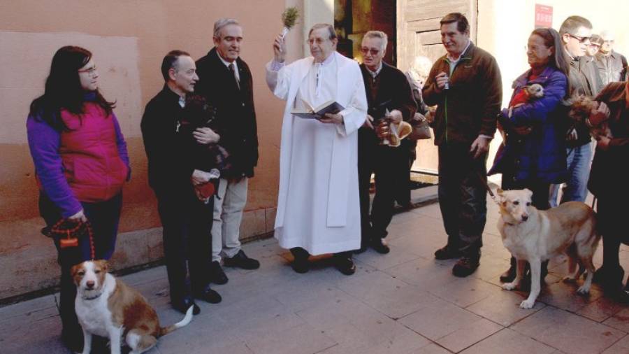 Este año sólo hubo perros, una cincuentena, para ser bendecidos. Foto: Lluís Milián