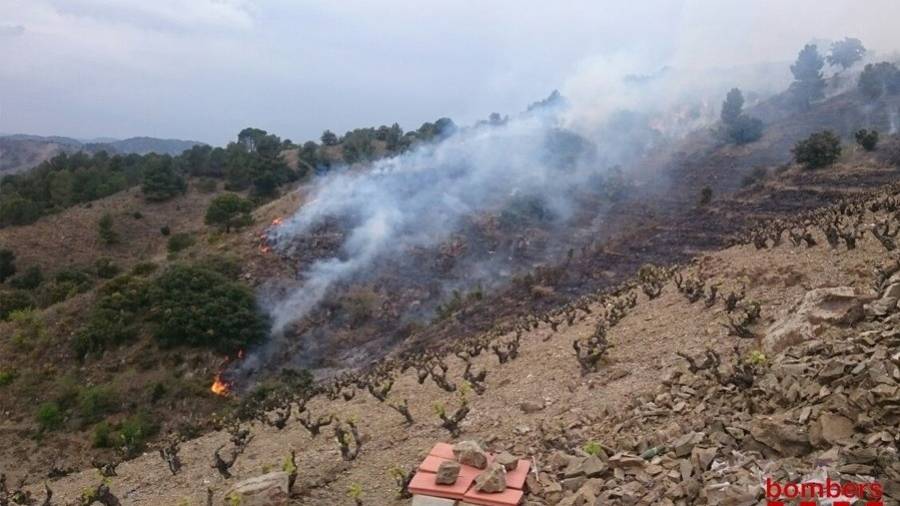El foc estava al costat d’un camp de vinya, el propietari del qual estaria cremant restes vegetals. FOTO: BOMBERS DE LA GENERALITAT