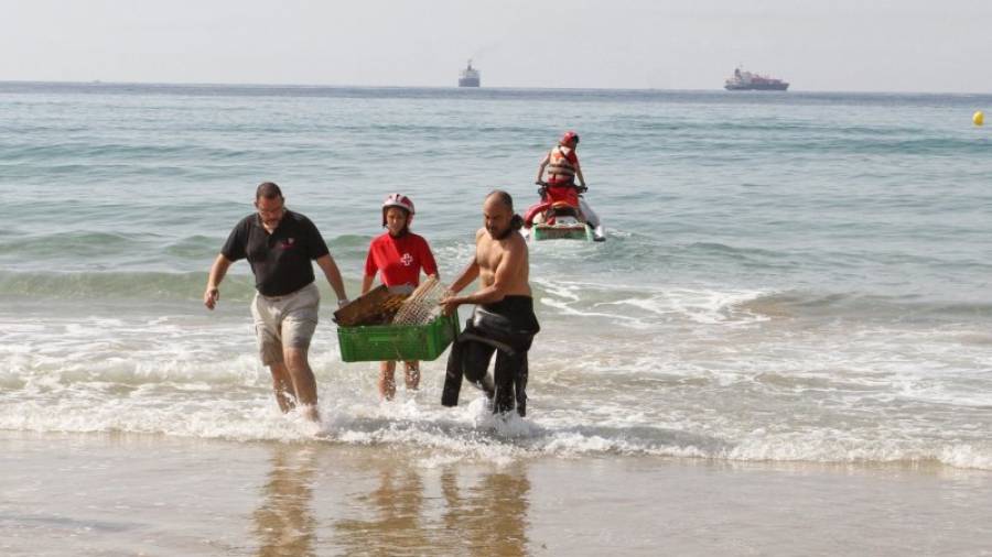Momento en que algunos de los voluntarios descargan la caja con residuos tras uno de los viajes de la moto acuática. Foto: Lluís Milián