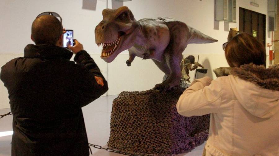 Las reproducciones a tamaño real de dinosaurios son el principal atractivo de la muestra. Foto: Lluís Milián