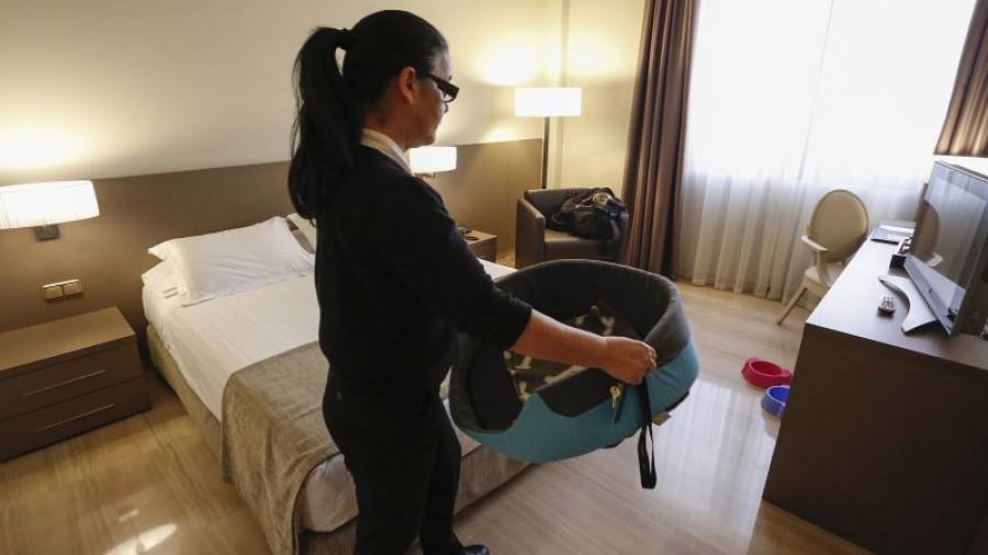 Una trabajadora del hotel SB Ciutat de Tarragona prepara una habitación para acoger a un cliente alojado con su mascota. Foto: Pere Ferré