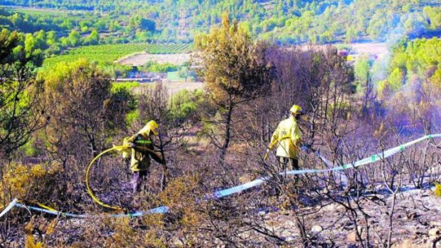 Equipos de extinción en el incendio del pasado verano en la montaña del Comú.