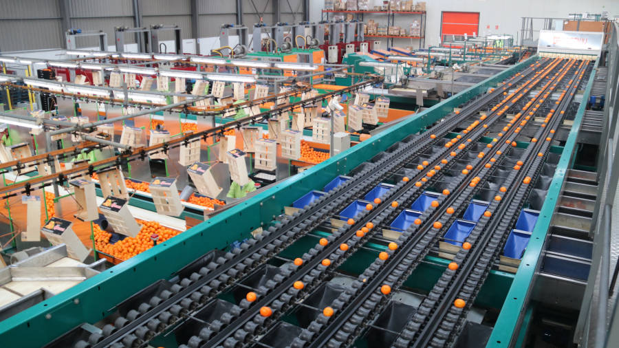 Imatge de les instal·lacions de la cooperativa Cooperativa Exportadora d'Agris d'Alcanar. ACN