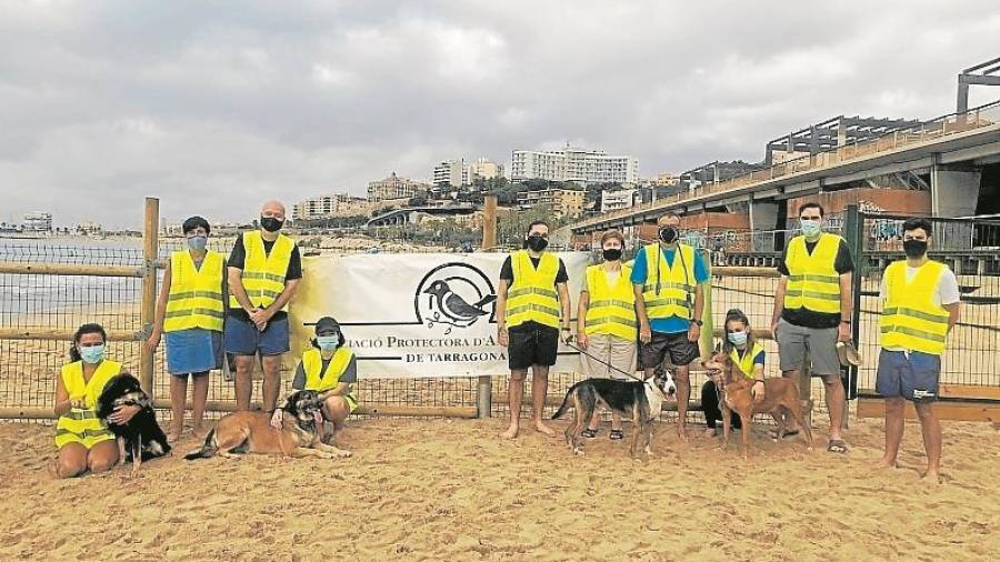Grupo de voluntarios junto a los cuatro perros que visitaron la playa del Miracle el jueves pasado. Foto: Cedida