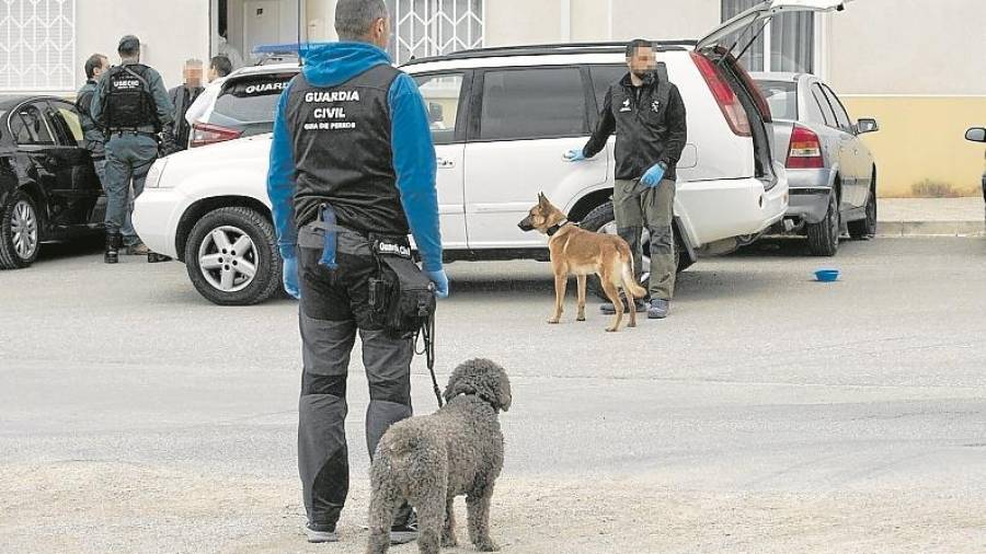 Miembros de la Guardia Civil acompa&ntilde;ados por los perros Marley y Athor. FOTO: Joan Revillas