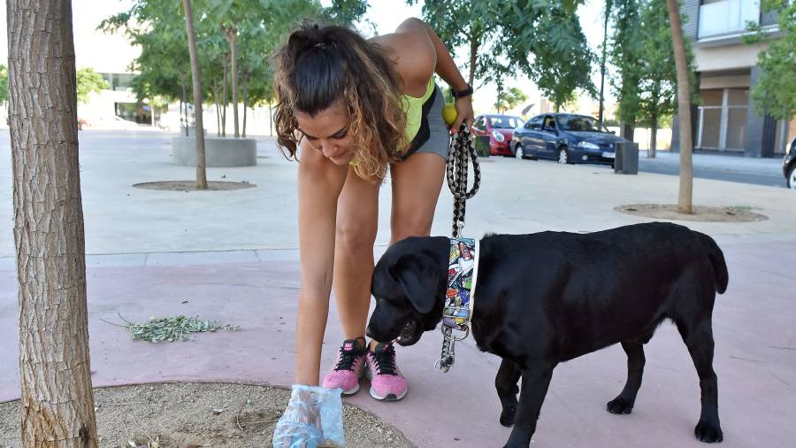 Una mujer recogiendo los excrementos de su perro en Reus. FOTO: A. GONZÁLEZ