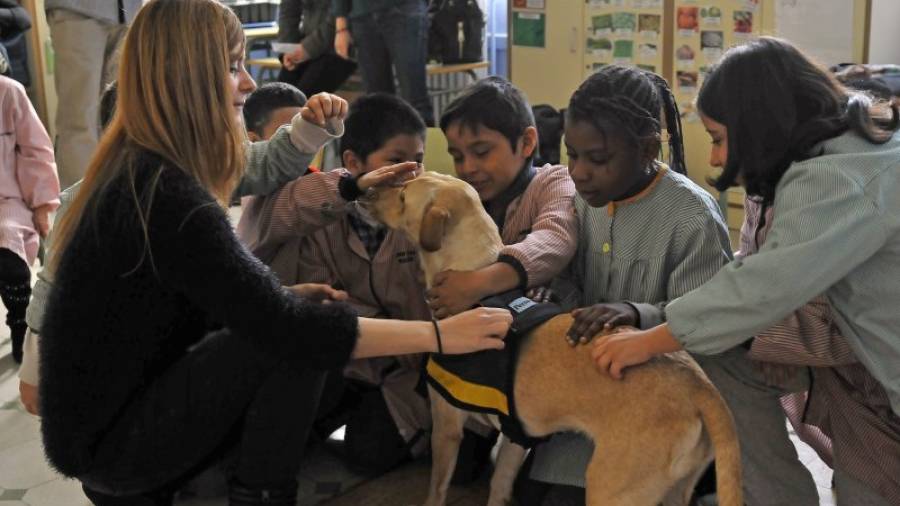 Al final del taller los niños pueden interactuar con los perros y preguntar dudas de la actividad. Foto: Alfredo González