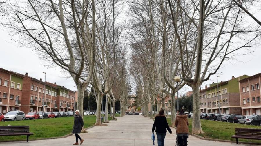 Imagen de los árboles de la Avinguda dels Castellers que precisan una poda. Foto: A. Gonzàlez