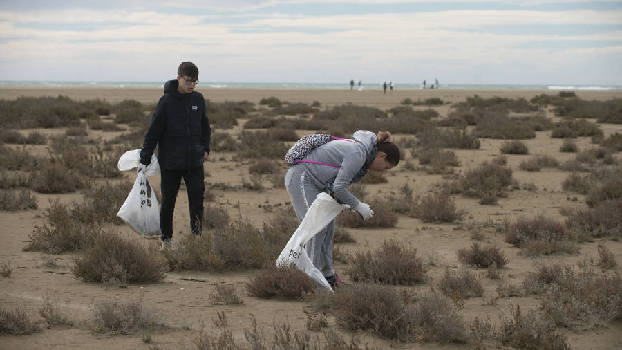 Entre els voluntaris hi va haver un important gruix de persones joves participant, en aquest cas a la platja dels Eucaliptus. FOTO: Joan Revillas